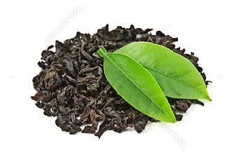 Tea