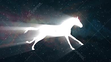 White light horse running silhouette on space background new quality unique animation dynamic joyful 4k video stock