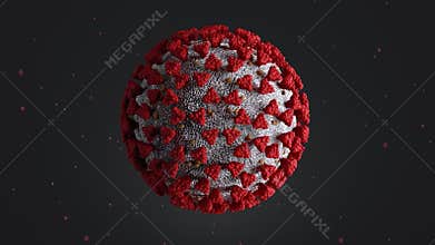 COVID-19 SARS-COV-2  coronavirus.