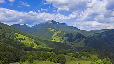 Aerial view of blossom pasture and green forest, time lapse video