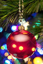 Christmas Tree And Lights