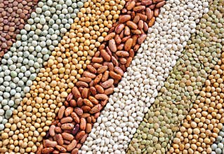 Mixture of dried lentils, peas, soybeans, beans