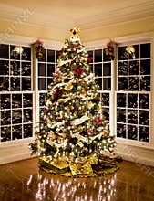 Beautiful xmas tree at night