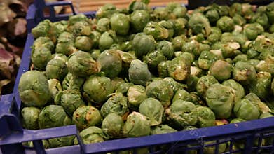 Fresh raw brussels sprouts and green salad on the market