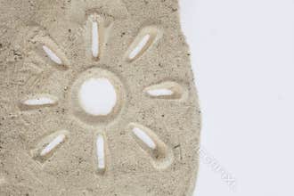 Sun icon drawn on sand in white isolated background