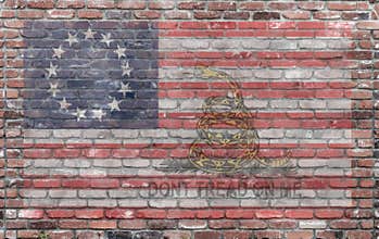 Vintage revolution american flag and dont tread on me logo