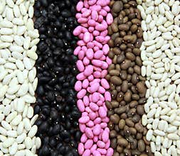 Bean seeds