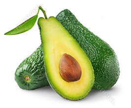 Isolated avocado fruits