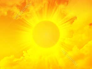 Shiny gold morning sun