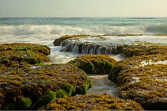 Moss and algae covering rocks