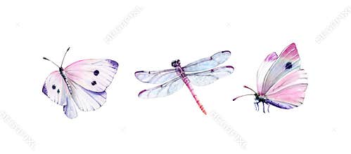 Watercolor set of dragonfly and white butterflies. Realistic insect painting isolated on white. Detailed wings and pink