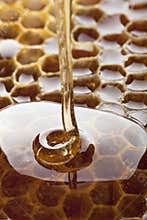 Honey