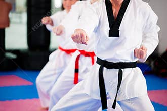 Martial Arts sport training in gym