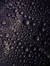 Real Black Water Drops Texture