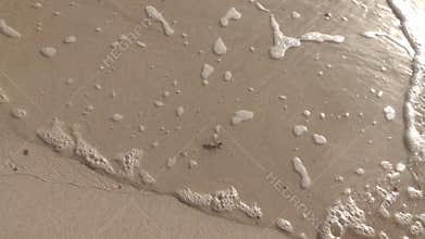 Tropical Destination, Barbados Beach 4k