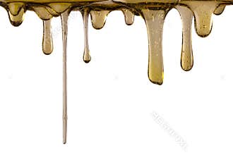 Honey