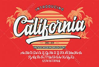 Brush Script Font Original Retro Typeface Vector