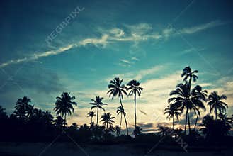 Tropical sunset