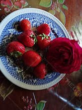 Romantic Valentines dark red rose and strawberries