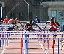 110 meter hurdles at the 2011 Penn Relays