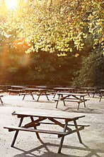 Empty Summer Park Picnic Bench and Table