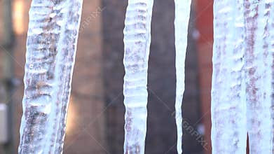 Pleasant arrangement of ice