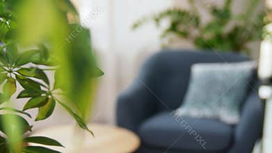 Flower and chair with cushion at cozy home