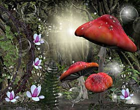 Magic forest