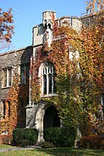Ivy covered entrance