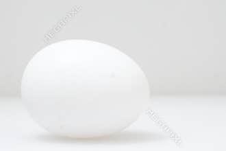white egg