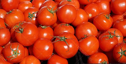 Ripe, fresh tomatoes in late autumn, displayed at a farmerâ€™s market stall in southern California