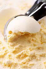 Vanilla ice cream