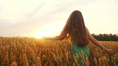 Free girl run across the wheat field in park. agriculture children kid dream concept. girl farmer hands to sides runs