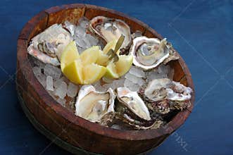 Fresh Oysters