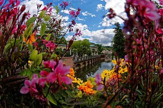 View through summer flowers to historic landmark at river in spa town Bad Kissingen