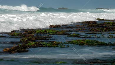 Ocean waves wash green seaweed and brown rocks on horizon