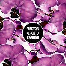 Vector orchid banner