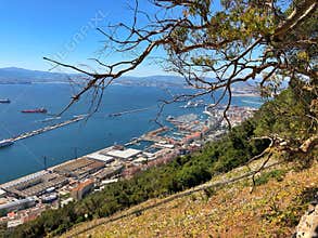 Port of Gibraltar