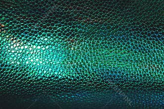 Fish or reptile scale dark moody background