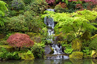 Japanese Gardens Waterfall Landscape