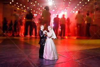 Wedding Party