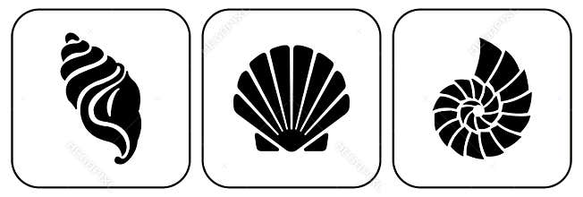 Three shells