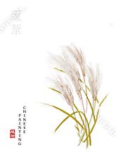 Watercolor Chinese ink paint art illustration nature plant from The Book of Songs reed. Translation for the Chinese word : Plant