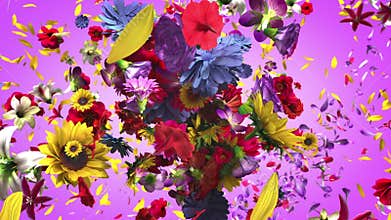 Exploding colorful flowers