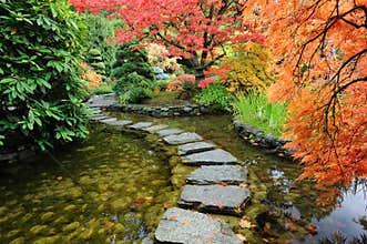 Garden pond and road
