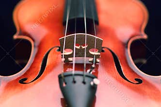 Violin close up