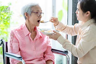 Young female caregiver or daughter feeding senior woman or mother in wheelchair at retirement house or home,asian elderly patient