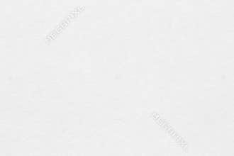 White paper texture background. Craft paper sheet surface