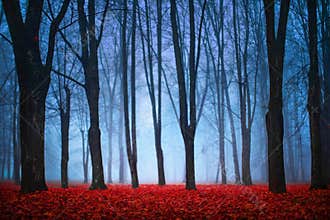 Beautiful Mystical Forest In Blue Fog In Autumn. Colorful Landscape With Enchanted Trees With Red Leaves