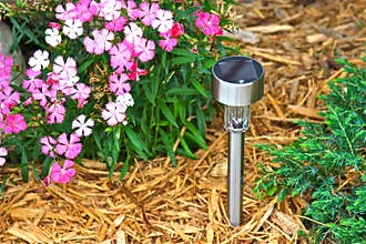 Solar Garden Light